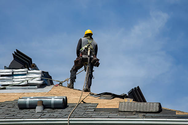 Professional Gutter Installation technician working in Shelton, NE